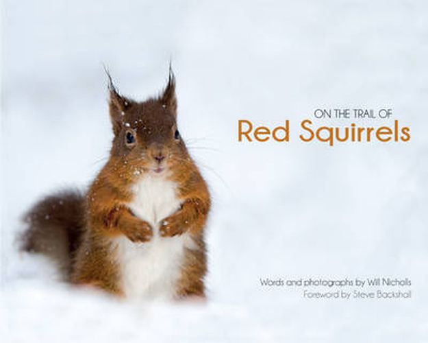 Cover image for On the Trail of Red Squirrels