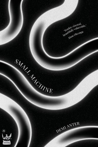 Cover image for Small Machine