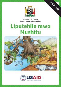 Cover image for Busy in the Bush PRP Silozi version