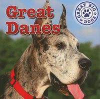 Cover image for Great Danes