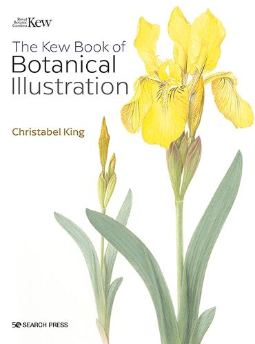 Cover image for The Kew Book of Botanical Illustration (paperback edition)