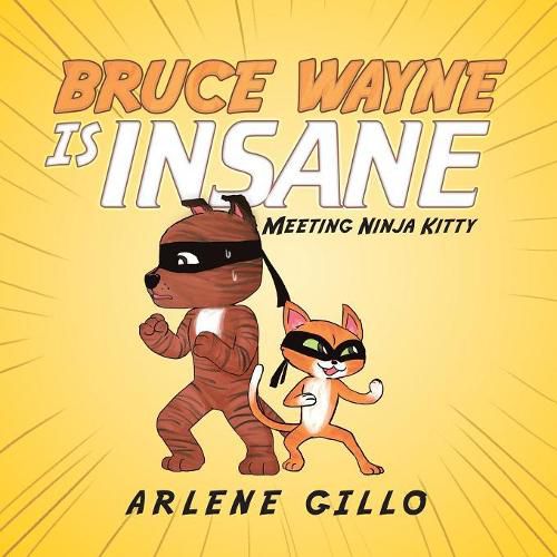 Cover image for Bruce Wayne Is Insane: Meeting Ninja Kitty