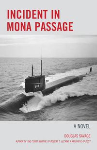 Cover image for Incident in Mona Passage: A Novel