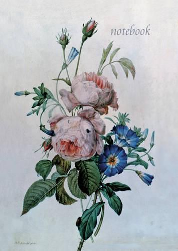 Cover image for Notebook: Redoute (Convolvulus and Roses)