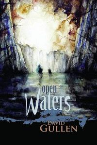 Cover image for Open Waters