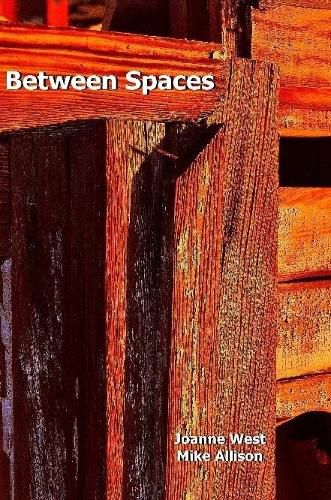 Cover image for Between Spaces