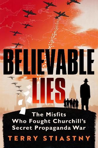 Cover image for Believable Lies