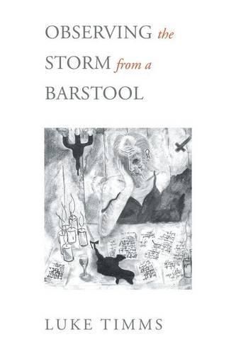 Cover image for Observing The Storm From A Barstool