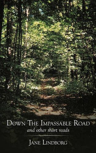 Cover image for Down the Impassable Road