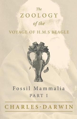 Cover image for Fossil Mammalia - Part I - The Zoology of the Voyage of H.M.S Beagle