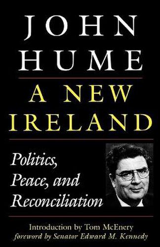 Cover image for A New Ireland: Politics, Peace, and Reconciliation