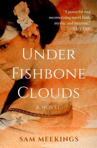 Cover image for Under Fishbone Clouds