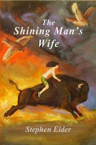 Cover image for The Shining Man's Wife