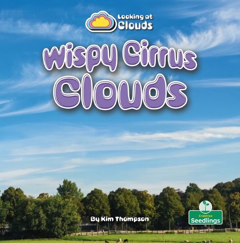 Cover image for Wispy Cirrus Clouds