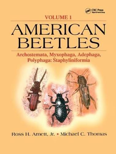 Cover image for American Beetles, Volume I: Archostemata, Myxophaga, Adephaga, Polyphaga: Staphyliniformia