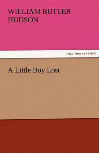 Cover image for A Little Boy Lost