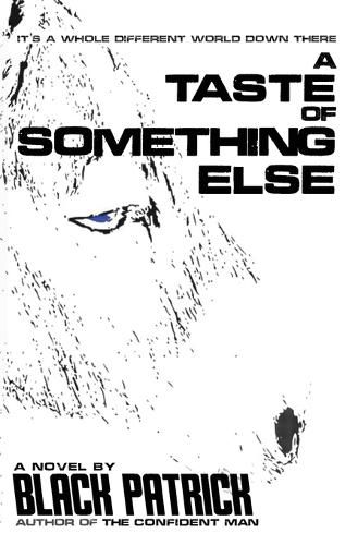 Cover image for A Taste of Something Else