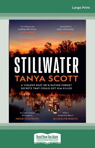 Cover image for Stillwater