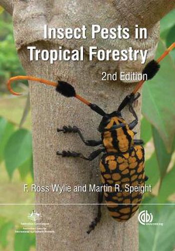 Cover image for Insect Pests in Tropical Forestry