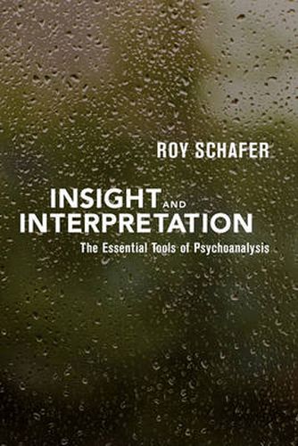 Cover image for Insight and Interpretation