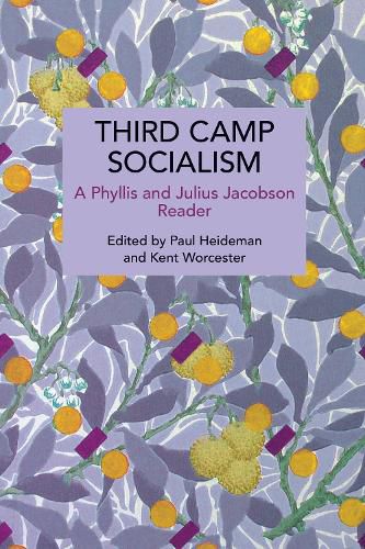 Cover image for Third Camp Socialism