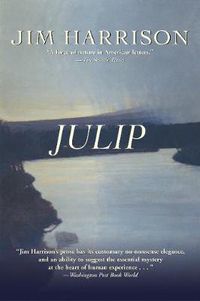 Cover image for Julip: A Novel