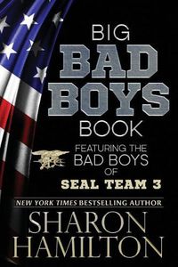 Cover image for Big Bad Boys Book: Bad Boys of SEAL Team 3, Books 1-3