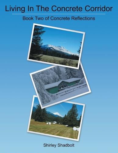 Cover image for Living in the Concrete Corridor: Book Two of Concrete Reflections