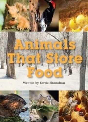 Cover image for Animals That Store Food