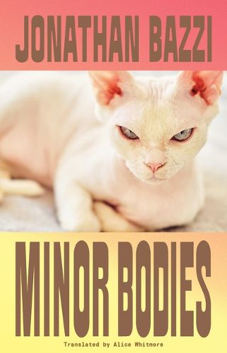 Cover image for Minor Bodies