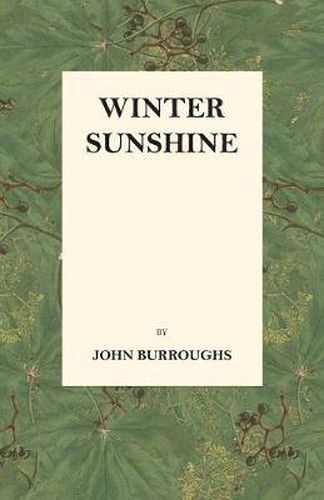 Cover image for Winter Sunshine