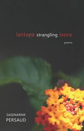 Cover image for Lantana Strangling Ixora