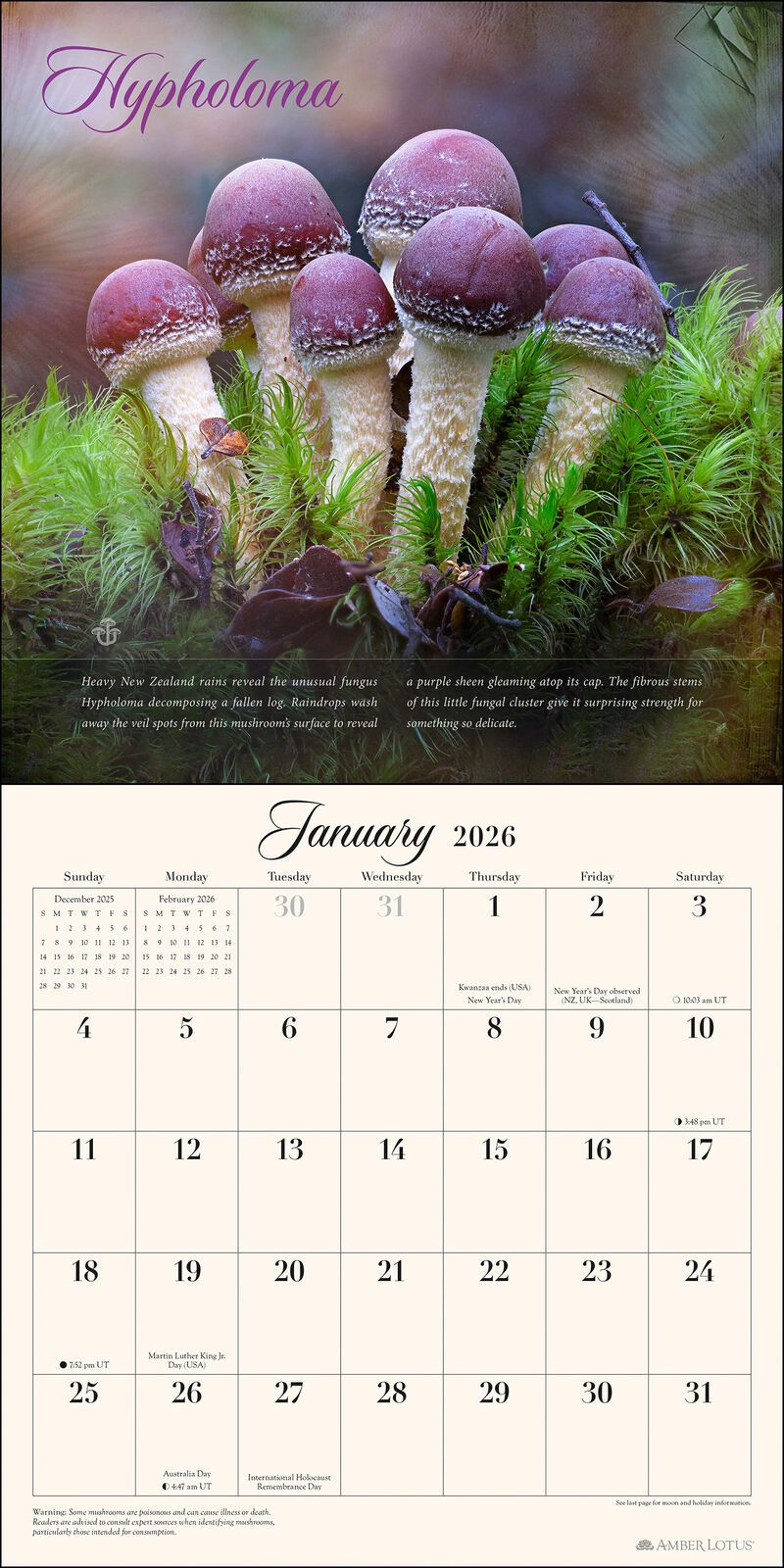 The Miraculous Mushroom 2026 Wall Calendar
