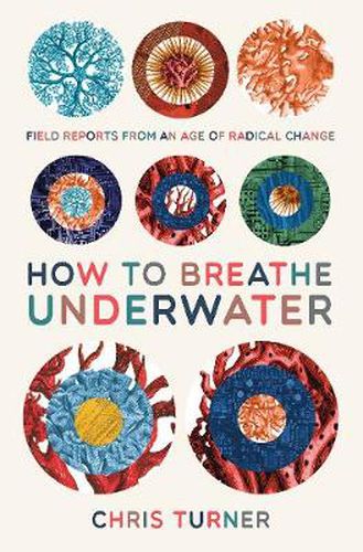 How to Breathe Underwater: Field Reports from an Age of Radical Change