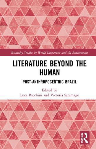 Literature Beyond the Human