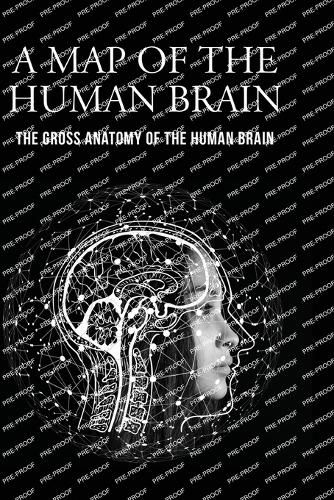 Cover image for A Map of the Human Brain