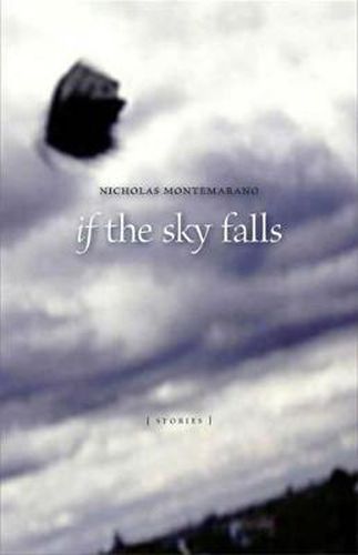 Cover image for If the Sky Falls: Stories