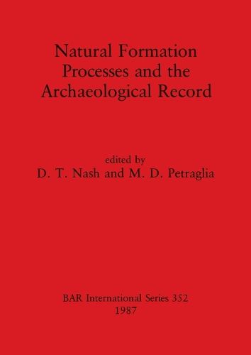 Cover image for Natural Formation Pprocesses and the Archaeological Record