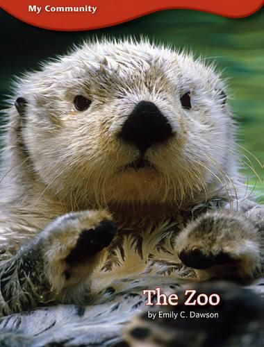 Cover image for The Zoo