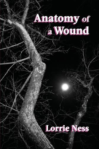 Cover image for Anatomy of a Wound