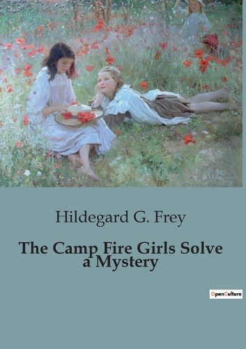 Cover image for The Camp Fire Girls Solve a Mystery