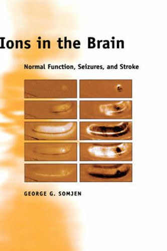 Cover image for Ions in the Brain: Normal Function, Seizures, and Stroke