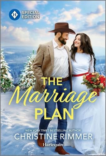 Cover image for The Marriage Plan