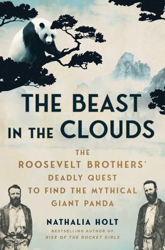 Cover image for The Beast in the Clouds