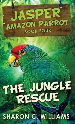 Cover image for The Jungle Rescue