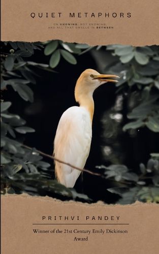 Cover image for Silent Metaphors (Edition1st)