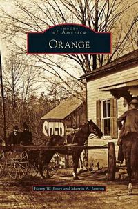 Cover image for Orange