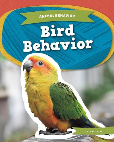 Cover image for Bird Behavior