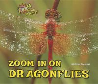 Cover image for Zoom in on Dragonflies