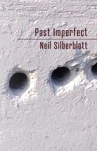 Cover image for Past Imperfect
